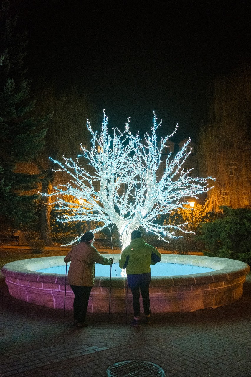 Tarnowskie ulice przyozdobione świątecznymi iluminacjami [ZDJĘCIA]