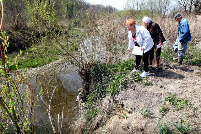 Zofia Surówka, Józefa Zapiór i Leszek Paliński z wielkim niepokojem patrzą, jak Łubinka podmywa brzeg. Nadal liczą na to, że urzędnicy i mieszkańcy dojdą do porozumienia i potok zostanie uregulowany