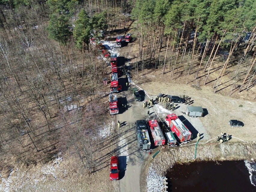 Ćwiczenia lubelskich strażaków przerodziły się w prawdziwą akcję gaśniczą. Trzeba było gasić las. Zobacz zdjęcia