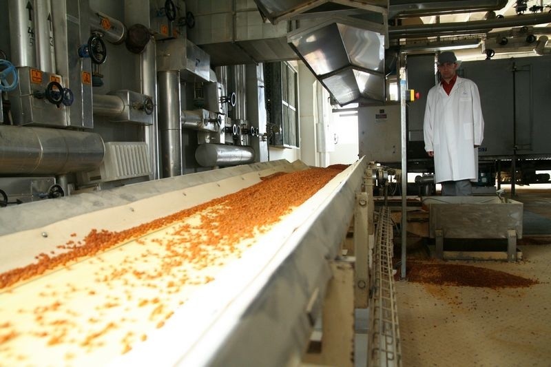 W tej toruńskiej fabryce produkują płatki kukurydziane Nestlé  