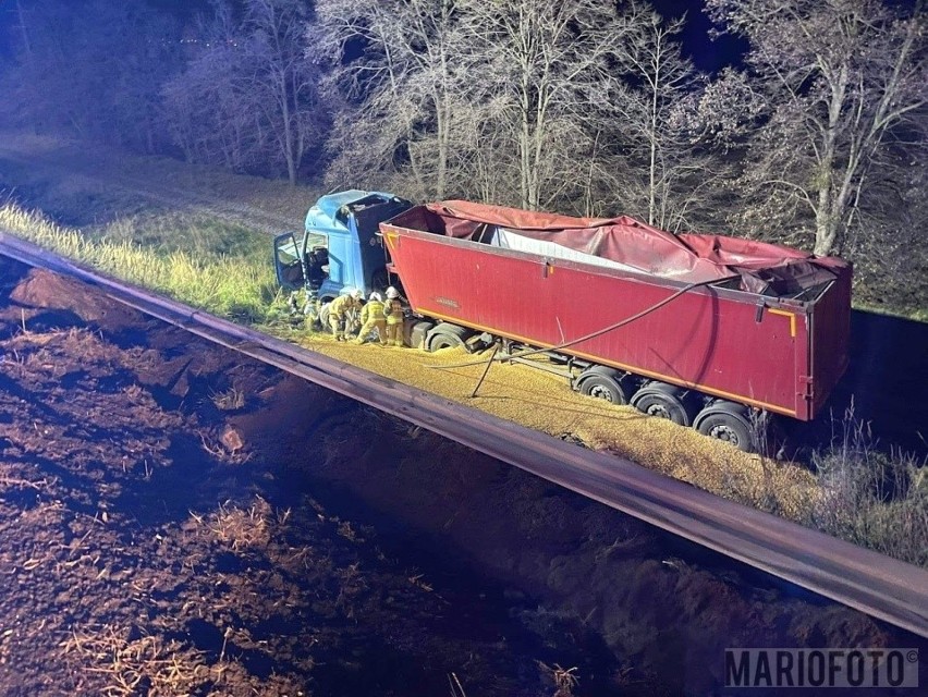Ciężarówka spadła z wiaduktu na DK 46 w Dąbrowie pod Opolem.