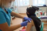 Kolejny pacjent zmarł po szczepionce - to mężczyzna z Dolnego Śląska