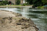 Ostrzeżenie hydrologiczne IMGW dla części Wielkopolski. Przekroczenie stanu alarmowego