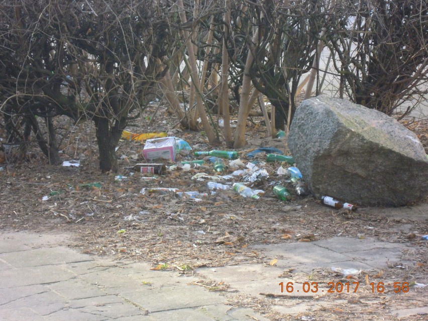 Czas na wiosenne porządki - Toruń na tropie śmieci