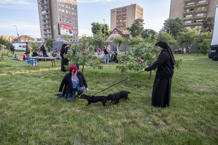 W wyjątkowym otoczeniu można było obejrzeć w sobotę komedię...