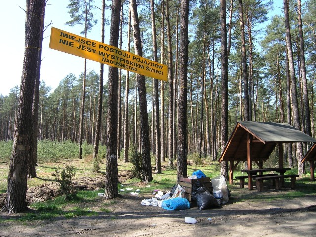 Śmieci w lasach wokół Zalewu Koronowskiego  już spotykaliśmy. Oby już nigdy tak w lasach nie było...