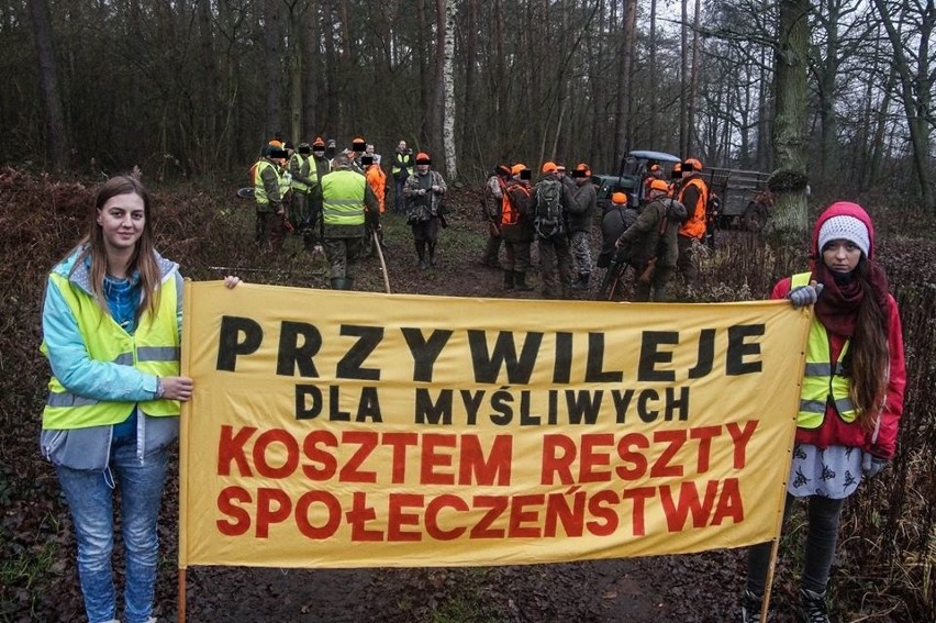 Pod Wrocławiem utrudnili polowanie spacerując. To jeszcze legalne...