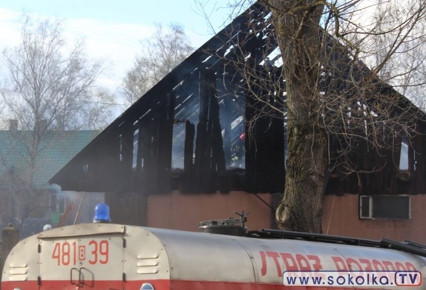 Pożar obory w Szyszkach. Straż pożarna ratowała byki