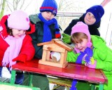 Łomżyńskie przedszkolaki dokarmiają zimą ptaki 