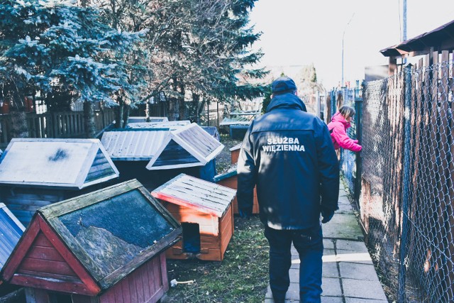 Więźniowie naprawią budy dla psów z białostockiego schroniska