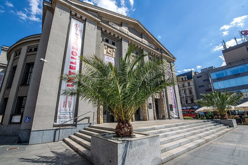 Palmy przed Teatrem Śląskim