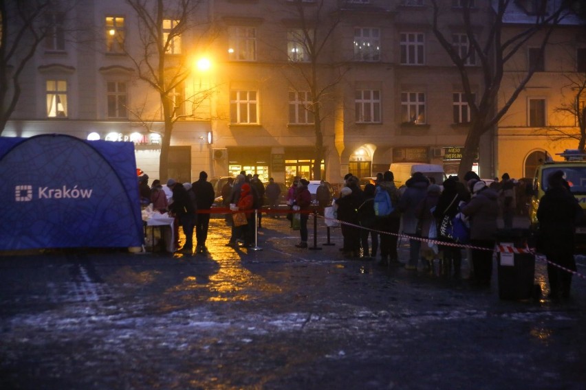 Karpie, których można skosztować podczas tej krakowskiej...