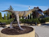 Borkowice chcą wypromować ślady dinozaurów odkryte w dawnej kopalni. Jest figura dinozaura, będzie park? Zobacz wideo