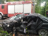 Poważny wypadek w Dąbrowicy koło Szczucina. Kierowca BMW wjechał w drzewo. Nieprzytomny 18-latek trafił do szpitala [ZDJĘCIA]