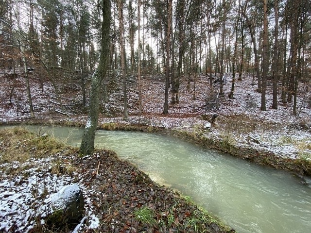 Sztoła w Bukownie