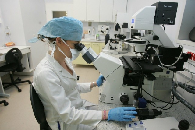 Program in vitro w Koszalinie przedłużony na kolejne dwa lata