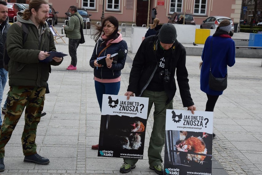 Częstochowa: Protest przeciwko hodowli kur w klatkach ZDJĘCIA