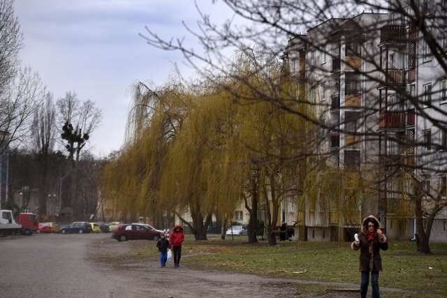 Będą zmiany na ulicy długiej.Będą zmiany na ulicy długiej.