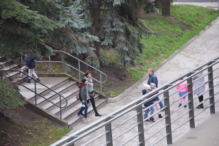 "Potworna rodzinka" na ekranie kina Stargardzkiego Centrum Kultury [ZDJĘCIA]