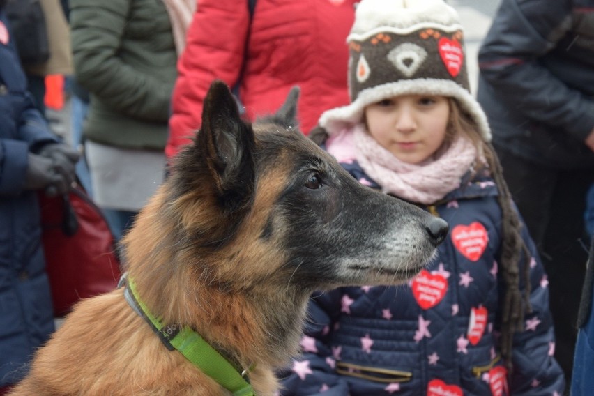 WOŚP 2017 we Wrocławiu