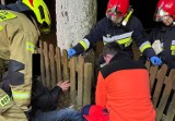  Ogródek. Wkurzony mężczyzna  kopał w płot i utknęła mu noga. Musieli pomóc strażacy (zdjęcia)