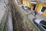 Wycięli krzewy przy 1 Maja w Kielcach. Mieszkańcy: bez powodu 