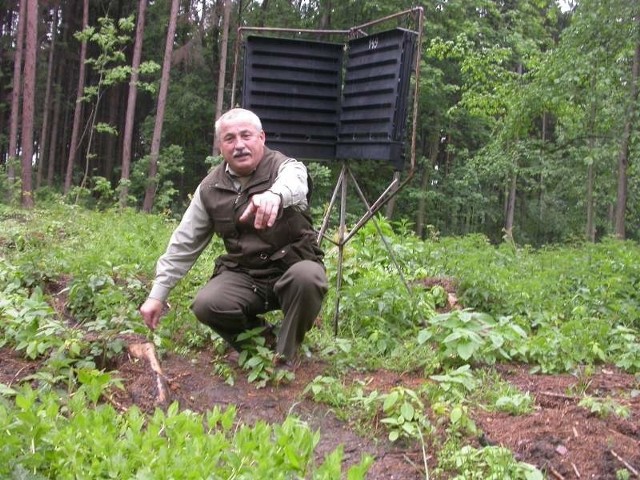 - Kornik od dawna w upalne lata robi duże szkody w drzewostanie Gór Opawskich - pokazuje nadleśniczy Stanisław Jurecki.