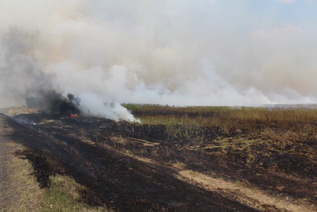 Pożar traw w Koziegłówkach