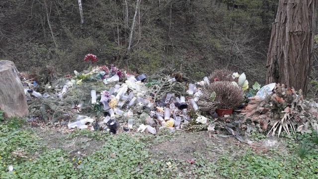 Tak wyglądają tereny zielone obok cmentarza w Błażowej . Ludzie, zamiast do kontenerów, wyrzucają śmieci do lasu.