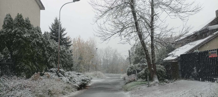 Zima w Łodzi. Sypnęło śniegiem. Uwaga kierowcy, ślisko na drogach! ZDJĘCIA
