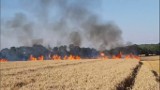Wielki pożar w Jastrzębiu: Płonęły cztery hektary zboża ZDJĘCIA+WIDEO