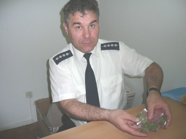 Andrzej Walczyna, rzecznik prasowy policji prezentuje działki marihuany, które diler miał gotowe do rozprowadzania.