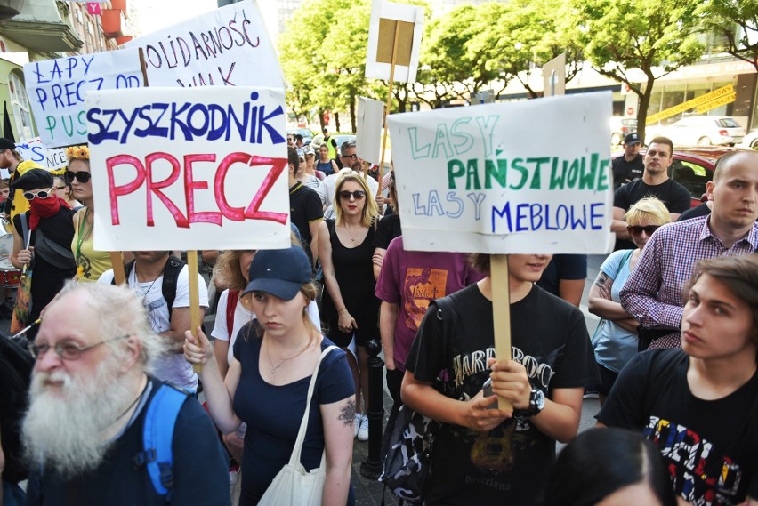 Manifestacja pod siedzibą PiS. Pikietują w obronie puszczy...