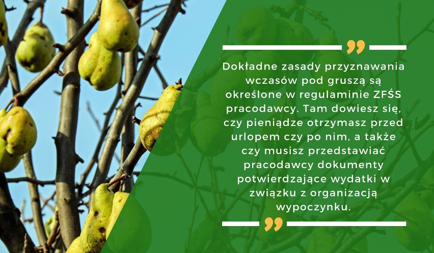 Dokładne zasady przyznawania wczasów pod gruszą są określone...