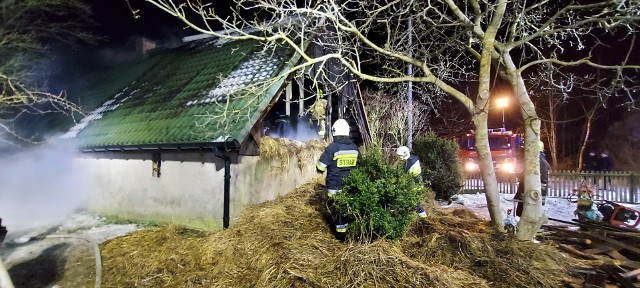 Dom 78-letniej Ireny Lewandowskiej z Nieżywięcia płonął 14 lutego