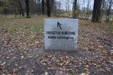 Nowa ścieżka archeologiczna w Parku Słowiańskim w Szprotawie. Tam znajdziemy Staw Zaręczynowy i Wzgórze MIłości 