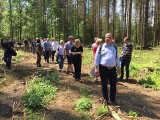 W puszczy bez zmian. Protest i wycinka trwają