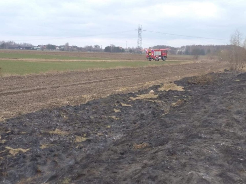 Wypalanie traw w Janochach. Interweniowała straż pożarna. Do pożaru trawy doszło 24.03.2021