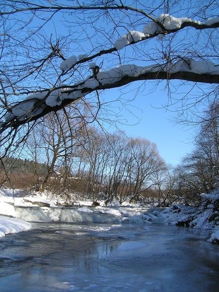 Zima w Bieszczadach