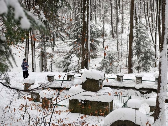 Droga przez las do &#8222;Bełkotki&#8221; to ulubione miejsce spacerów odwiedzających uzdrowisko. Leśnicy zapewniają, ze cięcia będą służyć parkowemu drzewostanowi.