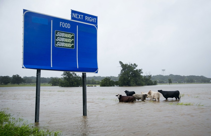 USA: Powódź w Teksasie. Houston pod wodą, wprowadzono godzinę policyjną [ZDJĘCIA]