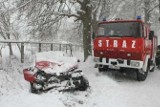 "Gaz 2012" Ćwiczenia strażaków w śniegu i mrozie (zdjęcia, wideo)