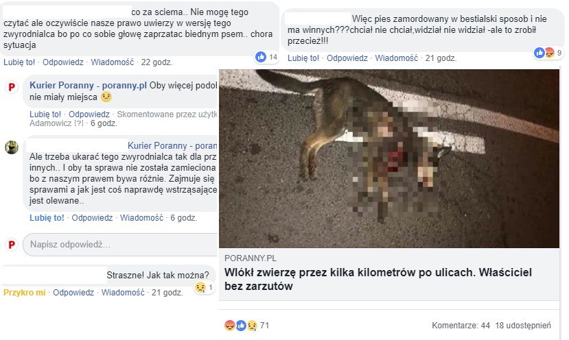 Informację o makabrycznym zdarzeniu otrzymaliśmy od naszego...