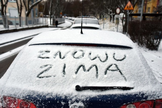 Warunki pogodowe panujące w czwartek (20 stycznia) w Lubuskiem mocno zaskoczyły mieszkańców całego regionu. W nocy był silny wiatr, później pojawił się śnieg i mróz.Na północy regionu opady śniegu nie były tak intensywne, jak na południu. W Zielonej Górze - dosłownie! - zrobiło się biało. Miasto przykryte jest białym puchem. Jeśli więc zdążyliście już schować śniegowce na dno szaf, to dziś musicie znów po nie sięgnąć. Śnieg w Zielonej Górze może padać do godz. 12.00, a następnie znów wieczorem od godz. 19.00. Temperatura w ciągu dnia osiągnie maksymalnie 1 stopień Celsjusza, więc jest szansa na zabawy na śniegu i ulepienie bałwana.A jeśli właśnie jesteście w pracy, nie wychodzicie na razie z domu, to zobaczcie te zdjęcia. Tak właśnie teraz wygląda nasze miasto!Przeczytaj też:Lubuskie: na drogach jest szklanka! Ludzie nie mogą dojechać do pracy!WIDEO: Jak przygotować się do ferii zimowych na stoku?