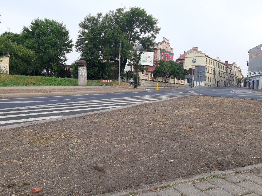 Łąka kwietna na Bernardyńskiej w Lublinie nie przetrwała. Drugi rok z rzędu. Ratusz: To przez chwasty