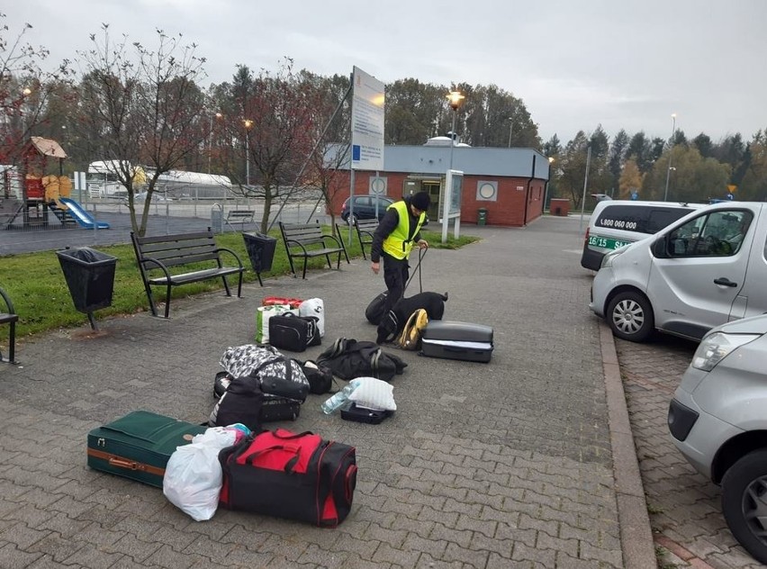 Kolejne narkotyki przechwycili na opolskim odcinku autostrady A4 celnicy z Opola