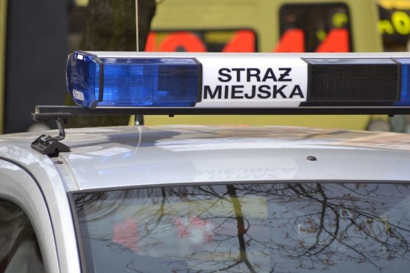 Interwencja strażników miejskich w Bydgoszczy