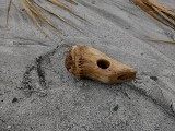 Sensacja archeologiczna w Międzywodziu. Spacerowicz przypadkiem znalazł toporek z okresu mezolitu [ZDJĘCIA]