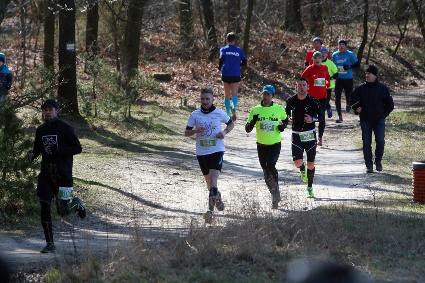 Grand Prix City Trail w Lublinie. Triumfował Jarosław Bimkiewicz (ZDJĘCIA)