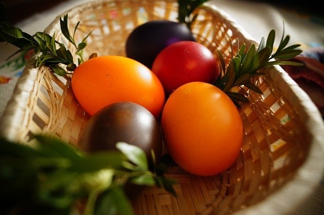 Cebula barwi jajka w kolorach od żółci do głębokiego brązu....